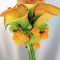 En gros flori Olanda - Buchete si aranjamente de lux Private & Business ( flori en-gros - abonamente florale ) 
